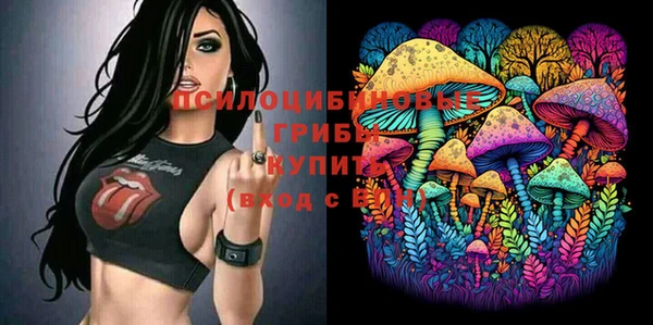 mdma Козельск